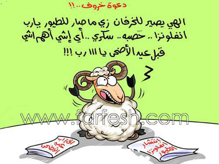 اضحك مع خروف العيد  صورة رقم 12