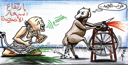 اضحك مع خروف العيد  صورة رقم 20