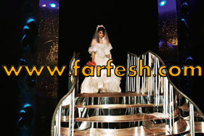 صور حصرية من عرس هيفاء وهبي    صورة رقم 5
