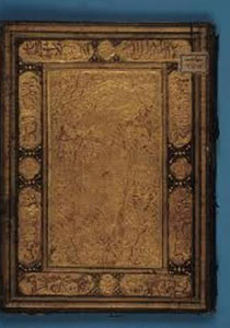 ���� ���� ������ ��� � ��� ������ �� ����� ������ ������!