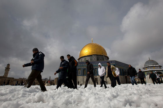  ���� ��� 5 -  �� ������� ��� ������ ������ �������� �������