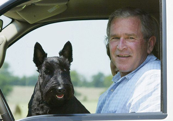  ���� ��� 2 - ��� ��� ��� ���� ��� ���� ��� ����� 11 ������!