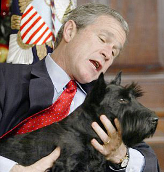  ���� ��� 6 - ��� ��� ��� ���� ��� ���� ��� ����� 11 ������!