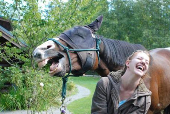 غوغل ينشر أكثر 10 صورة كوميدية ومضحكة.. شاهدها صورة رقم 5 غوغل ينشر أكثر 10 صورة كوميدية ومضحكة.. شاهدها صورة رقم 5