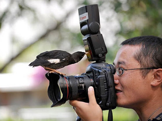 غوغل ينشر أكثر 10 صورة كوميدية ومضحكة.. شاهدها صورة رقم 9 غوغل ينشر أكثر 10 صورة كوميدية ومضحكة.. شاهدها صورة رقم 9