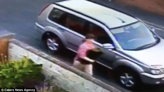 بالفيديو.. سيدتان تسرقان الحديقة الخضراء للجيران صورة رقم 4