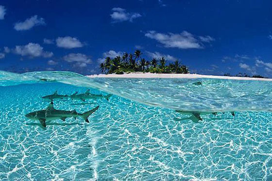 صور مذهلة لاجمل 10 مناطق في العالم لكنها معزولة لا يسكنها بشر       صورة رقم 10