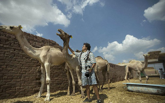 صور ثلاثة مصريين وصديقهم 