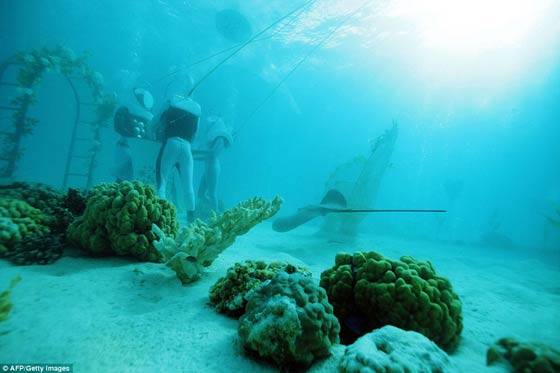 صور زوجان اسبانيان يقيمان مراسيم زواجهما تحت الماء  صورة رقم 4