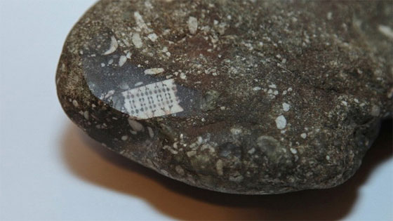 حجر عمره 250 مليون سنة يحير العلماء.. هل وقع من كوكب آخر؟ صورة رقم 1 حجر عمره 250 مليون سنة يحير العلماء.. هل وقع من كوكب آخر؟ صورة رقم 1