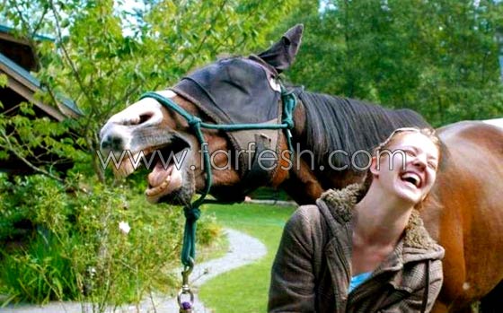 صور حيوانات طريفة: 40 صورة تجمع بين البراءة والبسمة صورة رقم 31 صور حيوانات طريفة: 40 صورة تجمع بين البراءة والبسمة صورة رقم 31