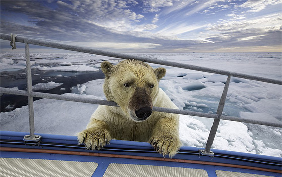 الكوارث الطبيعية كما تجلت في اجمل صور عام 2014 صورة رقم 25