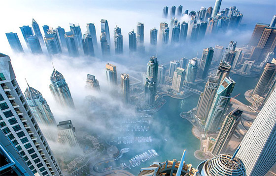 دبي واحدة من أفضل 10 بلديات في العالم صورة رقم 13 دبي واحدة من أفضل 10 بلديات في العالم صورة رقم 13