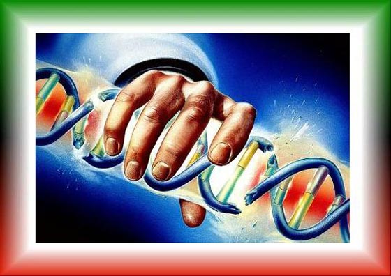 تطوير تقنية ترسم للمحققين ملامح الجاني في موقع الجريمة  صورة رقم 5