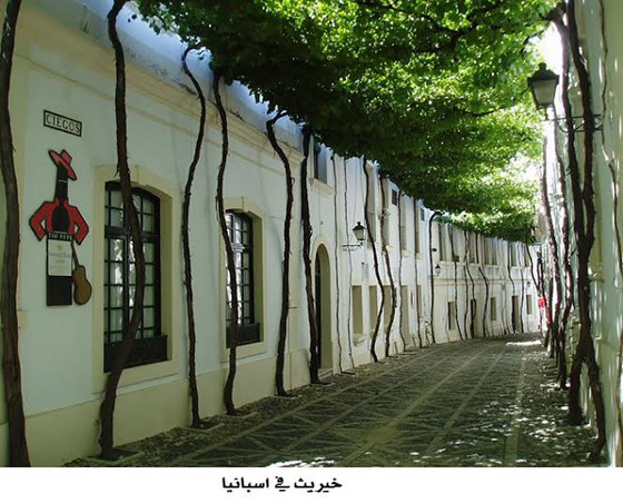 بالصور.. أجمل الشوارع التي تكسوها الزهور الساحرة في العالم صورة رقم 3