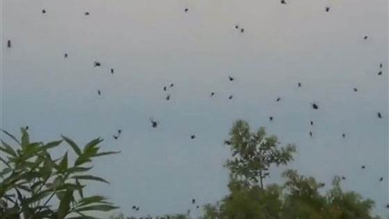 صور غريبة وفيديو اغرب: السماء تمطر اسماكا، ضفادع، دما قانيا وبقرة! صورة رقم 1