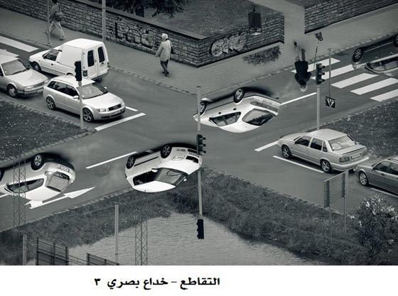 صور رائعة وخادعة تدمج بين فن التصوير الفوتوغرافي وبرنامج الفوتوشوب صورة رقم 4