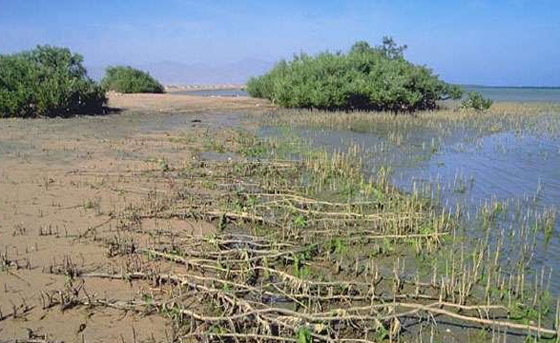 23 مكانا سياحيا رائعا في مصر: من جبل الكريستال الى كهف الجارة صورة رقم 11