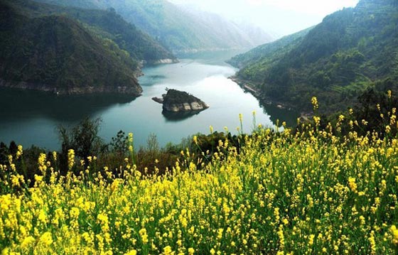 السلحفاة.. أغرب جزيرة في العالم لا تظهر الا في الربيع صورة رقم 2