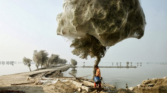 7 صور غريبة لاماكن غامضة يصعب تصديق وجودها في العالم صورة رقم 6