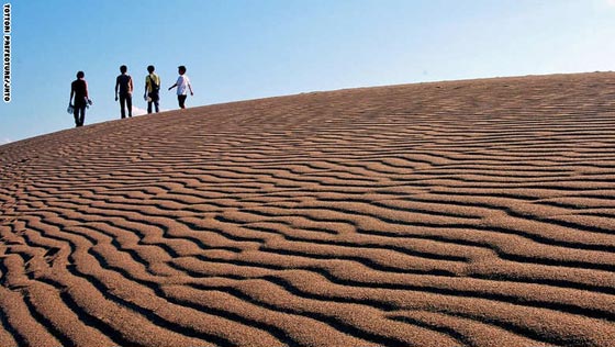 جولة مصورة في مجاهل بلاد الشمس المشرقة.. اليابان صورة رقم 5 جولة مصورة في مجاهل بلاد الشمس المشرقة.. اليابان صورة رقم 5