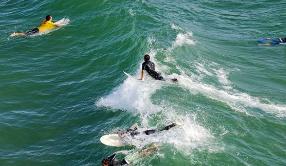 بالصور.. على شواطئ كاليفورنيا الذهبية ما يستحق الحياة صورة رقم 5