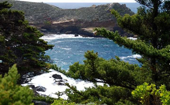 بالصور.. على شواطئ كاليفورنيا الذهبية ما يستحق الحياة صورة رقم 1