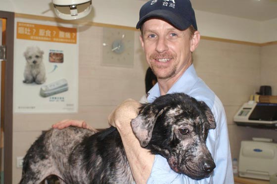 صورة رقم 4 - كيف لا يتمنى العربي ان يكون حيوانا؟! صورة رقم 4 - كيف لا يتمنى العربي ان يكون حيوانا؟!