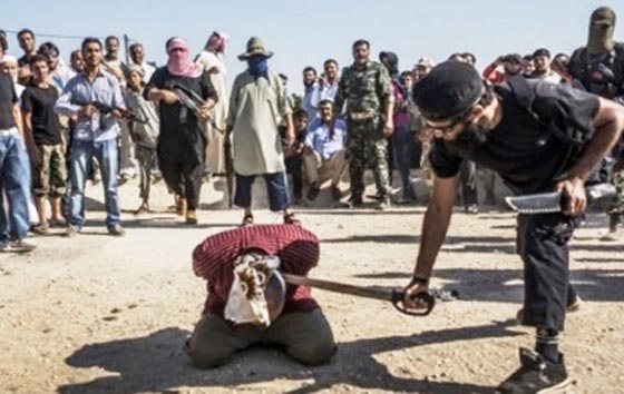 صورة رقم 1 - كيف لا يتمنى العربي ان يكون حيوانا؟! صورة رقم 1 - كيف لا يتمنى العربي ان يكون حيوانا؟!