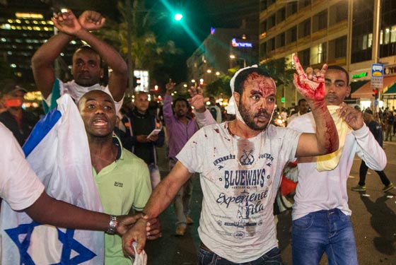  ���� ��� 14 - ���������� ���� ����ɡ ��������� ������� ������ ����� ������