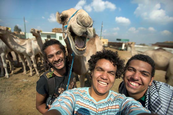 شاهد بالصور.. سيلفي الحيوانات الطريف والمثير للغرابة صورة رقم 1