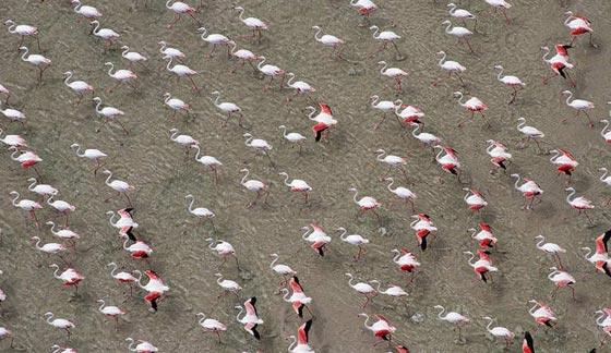 اجمل صور التقطها زوجان من اعالي سماء افريقيا صورة رقم 2