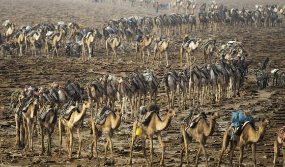 اجمل الصور للارض ومعالمها البارزة من السماء.. متع انظارك بمشاهدتها صورة رقم 11