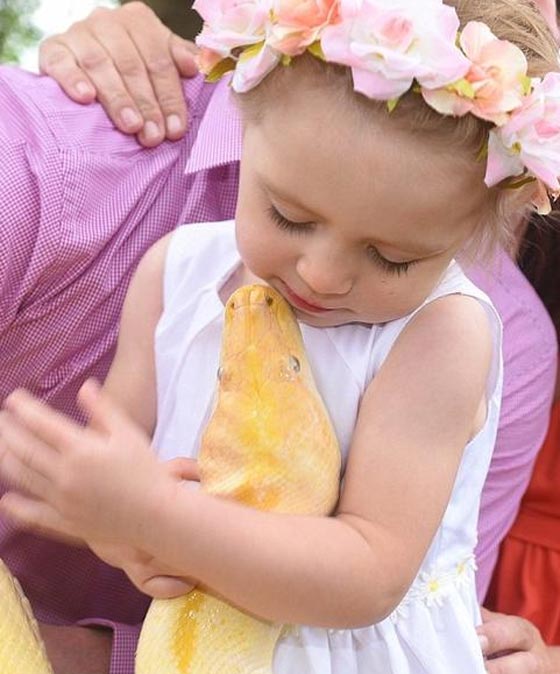  بالصور.. قصة عشق بين طفلة وأفعى ضخمة طولها 4.5 متر  صورة رقم 1