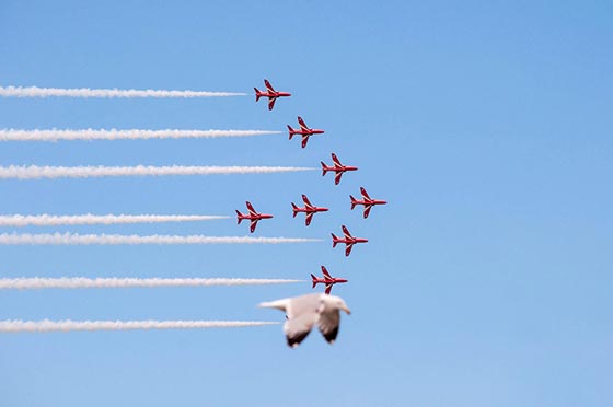 الصورة المناسبة في اللحظة المناسبة.. 18 صورة تضعك في حالة من الدهشة صورة رقم 18