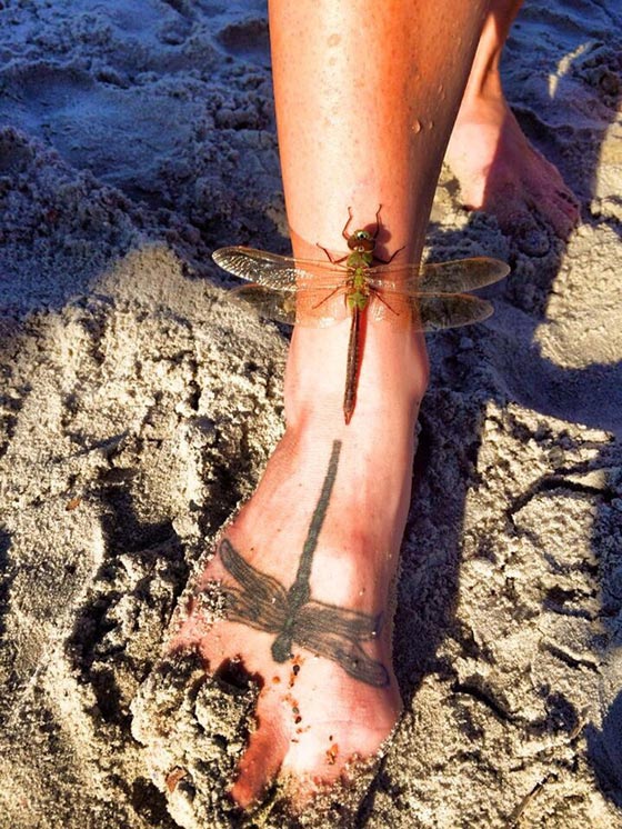 الصورة المناسبة في اللحظة المناسبة.. 18 صورة تضعك في حالة من الدهشة صورة رقم 7