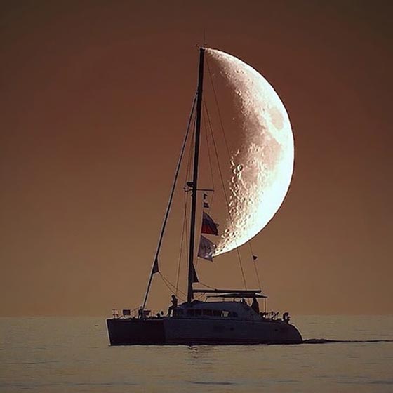 الصورة المناسبة في اللحظة المناسبة.. 18 صورة تضعك في حالة من الدهشة صورة رقم 9