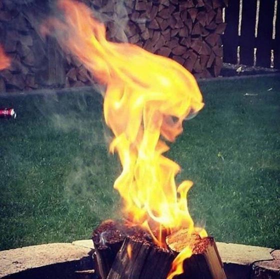 الصورة المناسبة في اللحظة المناسبة.. 18 صورة تضعك في حالة من الدهشة صورة رقم 10