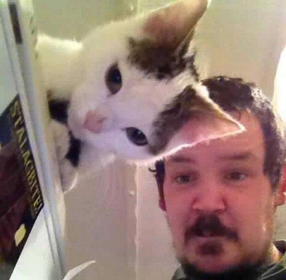الصورة المناسبة في اللحظة المناسبة.. 18 صورة تضعك في حالة من الدهشة صورة رقم 16