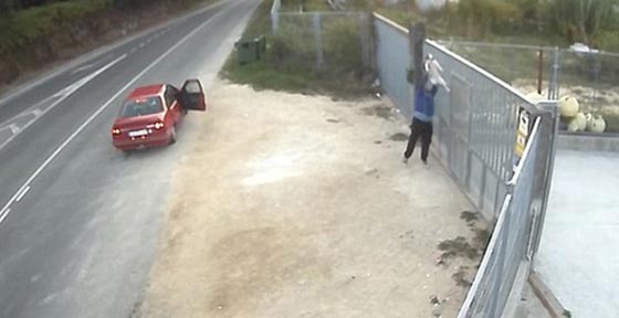 بالفيديو.. رجل يتخلص من كلبه بطريقة بشعة ويثير موجة غضب صورة رقم 3 بالفيديو.. رجل يتخلص من كلبه بطريقة بشعة ويثير موجة غضب صورة رقم 3