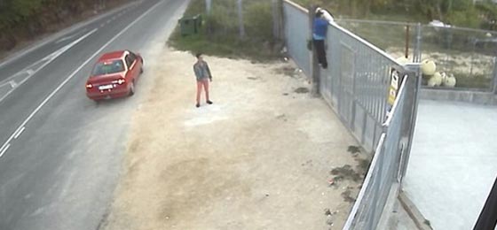 بالفيديو.. رجل يتخلص من كلبه بطريقة بشعة ويثير موجة غضب صورة رقم 4 بالفيديو.. رجل يتخلص من كلبه بطريقة بشعة ويثير موجة غضب صورة رقم 4