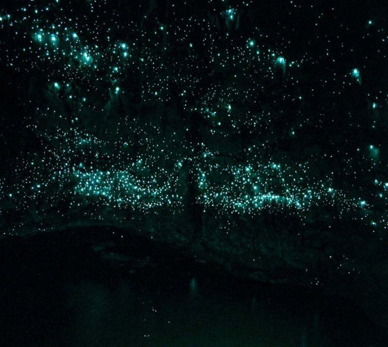 صور اماكن غامضة حول العالم: وحش البحيرة في اسكتلندا وجزيرة القطط اليابانية صورة رقم 11 صور اماكن غامضة حول العالم: وحش البحيرة في اسكتلندا وجزيرة القطط اليابانية صورة رقم 11