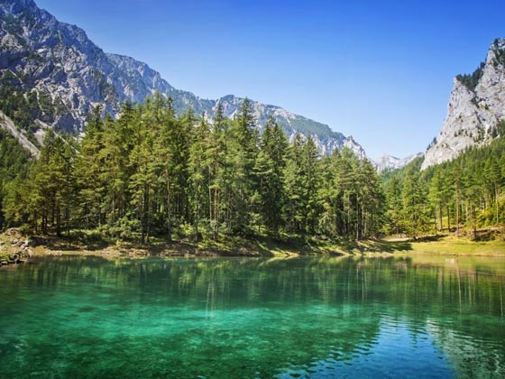  صور اغرب عجائب الطبيعة (1): في المغرب الماعز تتسلق الاشجار وفي استراليا بحيرة وردية اللون! صورة رقم 2
