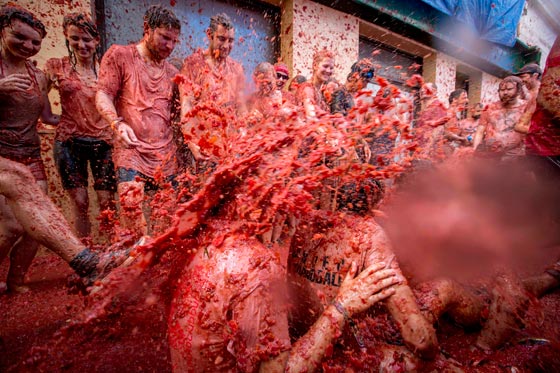 22 الفا يتراشقون بالطماطم في مهرجانها الاسباني صورة رقم 3 22 الفا يتراشقون بالطماطم في مهرجانها الاسباني صورة رقم 3
