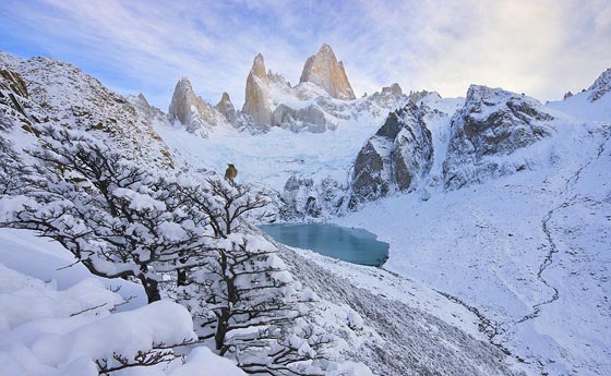 ملوك الحياة البرية يتالقون في مسابقة التصوير الفوتوجرافي صورة رقم 3