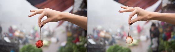 صور رائعة تتغلغل الى اعماق ثمار الفاكهة وتكشف بعضا من اسرارها صورة رقم 6 صور رائعة تتغلغل الى اعماق ثمار الفاكهة وتكشف بعضا من اسرارها صورة رقم 6