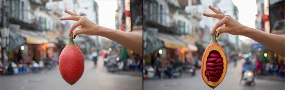 صور رائعة تتغلغل الى اعماق ثمار الفاكهة وتكشف بعضا من اسرارها صورة رقم 7 صور رائعة تتغلغل الى اعماق ثمار الفاكهة وتكشف بعضا من اسرارها صورة رقم 7