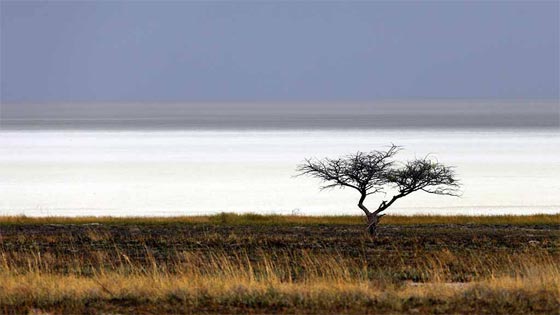 صور أغرب الأماكن الطبيعية في العالم: ينبوع الدم الساخن، غابة الاحجار وصحراء الملح صورة رقم 14 صور أغرب الأماكن الطبيعية في العالم: ينبوع الدم الساخن، غابة الاحجار وصحراء الملح صورة رقم 14