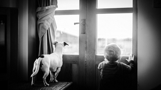 اجمل صور الحب المؤثرة الفائزة في مسابقة التصوير الفوتوغرافي صورة رقم 1