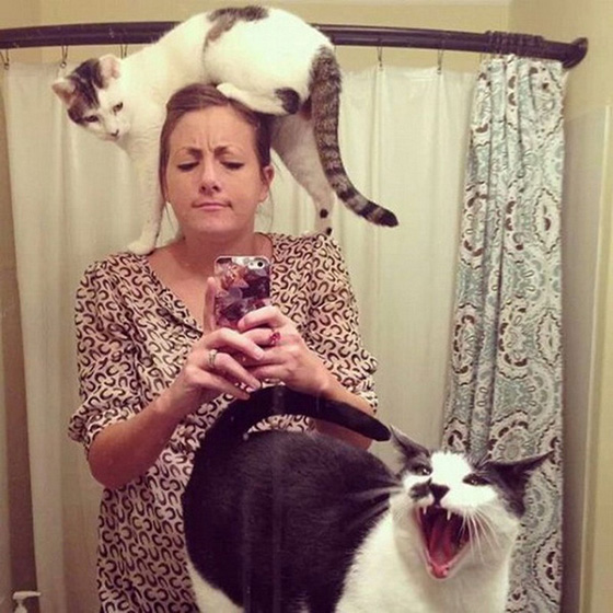 صور مضحكة: قطط  مشاكسة لكنها حنونة لا تترك اصحابها ابدا صورة رقم 9